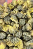 花色堂去肝火菊花茶胎菊王胎菊正宗桐鄉(xiāng)胎菊特級泡水喝的花茶杭白菊胎菊去肝火 清熱解毒 養(yǎng)生特級桐鄉(xiāng)胎菊王250克 凈重無干燥劑 曬單實拍圖