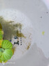黃鱔水花苗活體鱔魚(yú)水花苗田鱔水花苗小黃鱔苗包活淡水養殖場(chǎng) 水花50尾(0.2mm) 曬單實(shí)拍圖