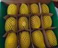 佳沛（zespri）新西蘭陽光金奇異果 8個(gè)裝 特大果單果重約122-146g 水果獼猴桃 曬單實(shí)拍圖