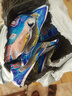 武漢天元鄧剛金版浮釣鰱鳙顆粒野釣手竿花白鰱鳙大胖頭草莓味餌料 天元鄧剛【浮釣鰱鳙】 3包 曬單實拍圖