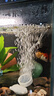 松寶（sobo）魚缸增氧泵養(yǎng)魚氧氣泵小型家用充氧泵水族箱打氧機(jī)增氧泵 雙孔3W 曬單實(shí)拍圖
