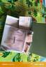 背背佳中秋禮品白鹿同款無痕S1隱形矯姿帶女士開肩改善塌背帶蜜桃粉M 曬單實拍圖