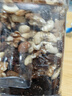 三只松鼠每日?qǐng)?jiān)果500g/罐  干果核桃腰果休閑零食 團(tuán)購(gòu)送禮 曬單實(shí)拍圖