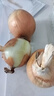新鮮黃洋蔥黃金水果洋蔥即食蔬菜調(diào)料燒烤食材 新鮮黃洋蔥 500g 含箱 曬單實(shí)拍圖
