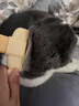 洽苒日本貓咪狗狗梳子開(kāi)結去浮毛器寵物指甲剪自潔排梳跳蚤針梳寵物用 香蕉黃3件套【祛浮毛+剪指甲+除跳蚤】 舒適手柄 防滑易握 整體輕盈 手感舒適 享受梳毛 曬單實(shí)拍圖