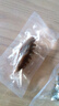 久年大連即食海參500g16-19只遼參京東自營 固形物超85% 生鮮海鮮盒裝 曬單實拍圖