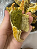 【新鮮滿(mǎn)籽】海星派大星新鮮熟凍速凍滿(mǎn)籽加熱即食水產(chǎn)肉類(lèi)海鮮 大號海星3-4只一斤 500g(凈重)  1000克 曬單實(shí)拍圖