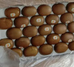佳沛（zespri）新西蘭  陽光金奇異果25-27粒原箱特大果單果約122-146g  獼猴桃 曬單實(shí)拍圖