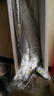 鮮享歡帶魚 海釣特級大帶魚整條帶魚整箱刀魚 生鮮魚類春節(jié)年貨禮盒 6斤（1.4-2斤/條） 帶魚 曬單實拍圖