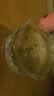 水培碗蓮種籽子四季睡蓮荷花水養(yǎng)植物種藕缸養(yǎng)盆栽銅錢草草籽種孑 優(yōu)質(zhì)開口碗蓮【10顆 送肥料】 曬單實拍圖