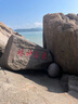 昆侖（KunLun）中國(guó)石油先進(jìn)高性能0W-20 C5全合成機(jī)油京東養(yǎng)車4L 曬單實(shí)拍圖