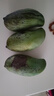 壹萌果蔬凱特芒芒果 當(dāng)季現(xiàn)摘四川大芒果新鮮水果青芒果整箱送禮 5斤老樹果【單果600g+】 凈4.5斤 曬單實拍圖