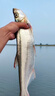 千壽5代魚線柔軟釣線強拉力競技主線黑坑子線尼龍線魚線 3.0號 60米 子線 曬單實拍圖