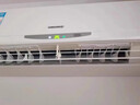 放心家空調(diào)除味劑家用室內(nèi)空調(diào)空氣清新劑汽車空調(diào)出風(fēng)口除臭去異味噴霧 空調(diào)除臭【依蘭香】 抑菌除臭去異味抑菌率99.9% 曬單實(shí)拍圖
