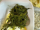 鹽漬馬尾藻 鞭炮筍海藻菜羊棲涼拌菜海草 火鍋食材 鹽漬馬尾藻250g*3袋 曬單實拍圖