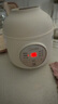 美的（Midea）電燉鍋1-2人電燉盅隔水燉鍋家用燕窩燉盅陶瓷燉湯盅電燉鍋嬰兒輔食小燉鍋煲湯電燉鍋電砂鍋煲湯鍋 1L 【1L=3碗 防燙把手】DZE1066 曬單實拍圖