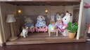 森貝兒家族花卉園藝套裝 芙羅拉兔妹妹與弟弟女孩過(guò)家家玩具公仔 兒童禮物 曬單實(shí)拍圖