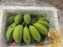 廣西特產(chǎn)西貢蕉 新鮮banana香蕉 新鮮水果現(xiàn)砍現(xiàn)發(fā)貨 凈重3斤裝 曬單實(shí)拍圖
