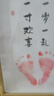 歐妮姿抓周用品全套男寶女寶周歲生日場景布置龍寶寶氣球道具豪華30件套 曬單實拍圖