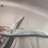 純色本味 冷凍精品秋刀魚300g/袋 曬單實拍圖