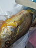 1號會員店寧德三去黃花魚 凈重2斤/4條  大黃魚 深海魚 冷凍海鮮水產(chǎn) 生鮮 曬單實拍圖