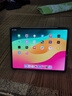 Apple蘋(píng)果iPadpro18款/20款/21款/22款/24款air4/5ipad8/9二手平板 2021款 11寸pro 256G WiFi版 99成新（顏色備注） 曬單實(shí)拍圖