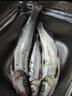 YGK PE JPX24編超強拉力pe線(xiàn)路亞線(xiàn)錨魚(yú)打黑雷強海釣筏釣順滑遠投500米主線(xiàn) 24編【新編織工藝】300米 0.6【相比普通pe線(xiàn)拉力提升10%】 曬單實(shí)拍圖