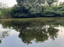 3魚(yú)塘除鐵銹凈水劑除綠藻水除藻濁清水質(zhì)凈化劑不傷魚(yú)蝦消毒殺菌藥 10粒 6包 【魚(yú)塘除鐵銹水專(zhuān)用】 曬單實(shí)拍圖