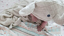 BABYGREAT嬰兒浴巾兒童洗澡巾斗篷帶帽子新生兒寶寶連帽包裹巾吸水速干四季 【連帽浴巾丨四季款】小象敦敦 曬單實拍圖