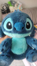 迪士尼蜂蜜罐史迪仔玩偶史迪奇毛絨玩具星際寶貝酷帥送女友男友生日禮物 30CM史迪仔經(jīng)典毛絨公仔含背帶 cm 曬單實(shí)拍圖