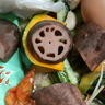 湖北洪湖粉藕蓮藕新鮮煲湯當(dāng)天現(xiàn)挖糯米藕桂花藕農(nóng)家特產(chǎn)蔬菜整箱 三斤裝 曬單實(shí)拍圖