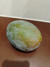 【新鮮上市】正宗攀枝花凱特芒果新鮮水果 帶箱2斤200g+ 曬單實(shí)拍圖