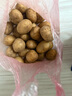 佳農(nóng)寶菜黃心土豆凈重4.5斤洋芋滕州土豆地標(biāo)品單果40g+ 源頭直發(fā) 曬單實(shí)拍圖