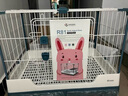 達(dá)洋兔籠R81雙抽屜防噴尿兔籠子家用特大號(hào)兔子荷蘭豬自動(dòng)清糞籠 R81藍(lán)色（單籠） 曬單實(shí)拍圖