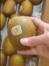 佳沛（zespri）新西蘭  陽光金奇異果10粒禮盒巨大果單果約144-175g 水果 獼猴桃 曬單實(shí)拍圖
