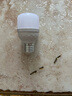 LED燈泡亮球泡E27螺口節(jié)能燈泡家用三防護(hù)眼燈鉆石燈泡 【-10W 【1個】經(jīng)濟(jì)款-】 曬單實(shí)拍圖
