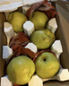 南步河北趙縣雪花梨 趙州特產(chǎn)冰糖雪梨秋月梨香梨鴨梨皇冠梨新鮮水果 凈重4.5斤 大果【單果280g+】彩箱 曬單實(shí)拍圖