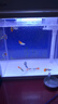 森森超白魚缸過(guò)濾制氧一體機(jī)自循環(huán)客廳水族箱桌面懶人小型玻璃 超白玻璃 250標(biāo)配（贈(zèng)豪華濾材+棉） 曬單實(shí)拍圖