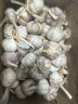 精選新鮮山東大蒜干蒜多瓣蒜頭蔬菜批發(fā)產地直發(fā)大蒜頭 優(yōu)選 5斤 (果徑≥3.5cm) 曬單實拍圖