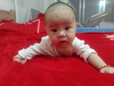 雀巢超啟能恩1段嬰幼兒乳蛋白部分水解配方奶粉0-12個(gè)月適用 超啟能恩1段 380克*2 曬單實(shí)拍圖