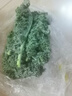 新鮮羽衣甘藍 健康輕食蔬菜 生菜沙拉榨汁纖體瓶蔬菜 綠色 羽衣甘藍新鮮蔬菜500g 曬單實拍圖