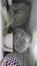新鮮4斤沙拉蔬菜組合 混合輕食健身西餐健身食材 4斤蔬菜組合【無(wú)沙拉醬】 曬單實(shí)拍圖