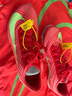 耐克田徑精英巴黎新款  Nike Maxfly 2 FP耐克男女碳板氣墊短跑釘鞋 FD8395-600/Maxfly 2代 38.5 曬單實(shí)拍圖