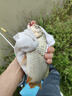 龍王恨釣箱X3多功能輕量化臺釣魚(yú)箱黑坑野釣四腳升降帶全套配件漁具箱 18L 釣箱+基礎配件+三件套+拉餌盤(pán)+傘架 曬單實(shí)拍圖