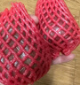 騎猴趕馬黑金剛蓮霧(順豐)當(dāng)季新鮮當(dāng)季熱帶水果送禮海南/福建珍珠蓮霧 凈重4斤 甄選裝【單果約70g】 團購/售后詳詢客服 曬單實拍圖
