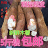 木薯廣西特產(chǎn)面包木薯新鮮10斤現(xiàn)挖紅皮白肉木薯糖粗糧粉糯甜山芋 5斤 曬單實拍圖
