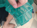 潮思匯黃鱔籠泥鰍籠三門(mén)四門(mén)龍蝦網(wǎng)捕蝦籠鱔魚(yú)魚(yú)網(wǎng)捕漁網(wǎng)捕黃鱔米籠蝦籠 1.0米6節(jié)4洞泥鰍黃鱔籠 送地插+餌料球+餌料+拉繩+補(bǔ)網(wǎng)工 曬單實(shí)拍圖