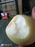 蔡娃果業(yè)正宗河北皇冠梨新鮮水果整箱10斤梨子秋季現(xiàn)摘果園直發(fā)脆甜多汁 精選裝【帶箱9.5-10斤】 曬單實(shí)拍圖