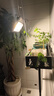 凡遙趣太陽(yáng)能植物生長(zhǎng)燈仿太陽(yáng)光花卉綠植補(bǔ)光燈苔蘚多肉火龍果菊花果蔬 1200W全光譜植物燈(太陽(yáng)光) 曬單實(shí)拍圖