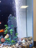 魚(yú)呼吸魚(yú)缸增氧充氣泵 009-10W【細化出氣石套餐】 小型家用養魚(yú) 曬單實(shí)拍圖